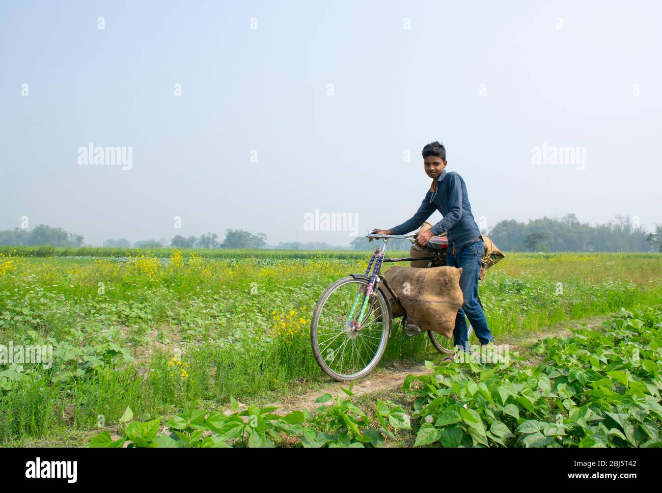 Jeune agriculteur travaillant sur le terrain, Inde Banque D'Images
