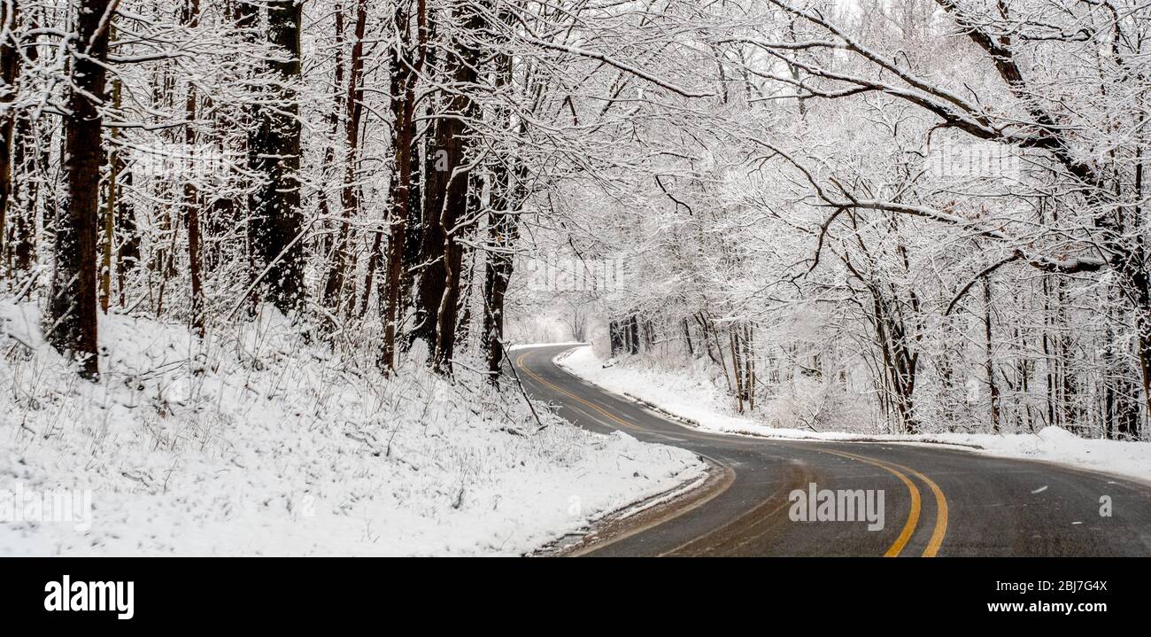 Une route en courbe invite à conduire à penser que ce beau bois couvert de neige au Michigan USA Banque D'Images