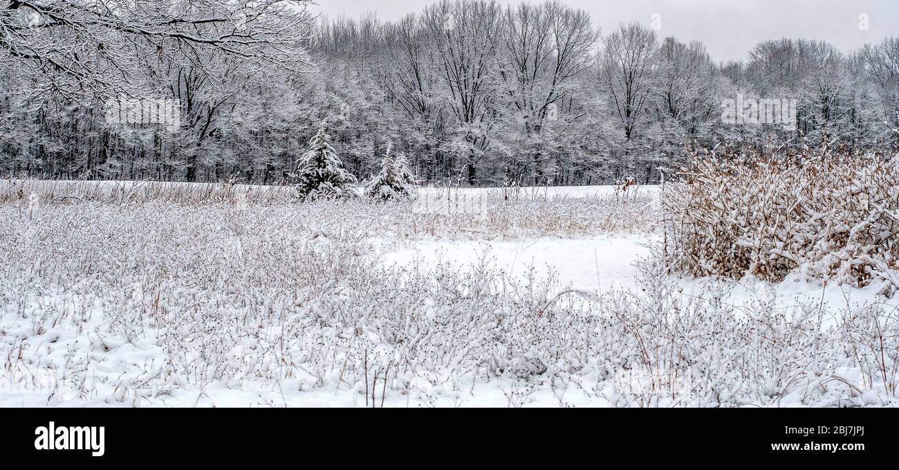 Un joli panorama au Michigan, aux États-Unis, est magique après une tempête de neige au début du printemps Banque D'Images