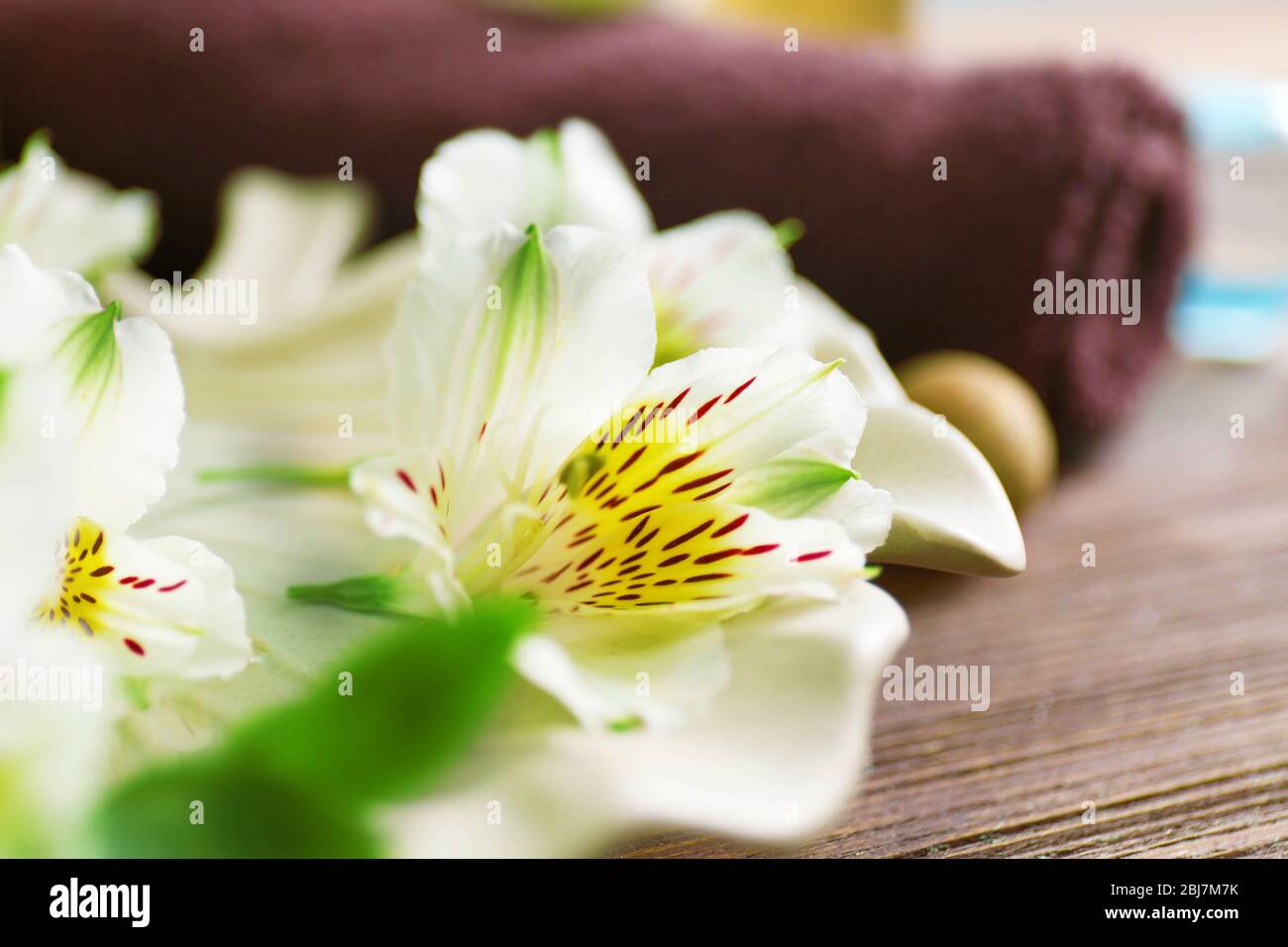 Belles fleurs exotiques et composition spa, gros plan Banque D'Images