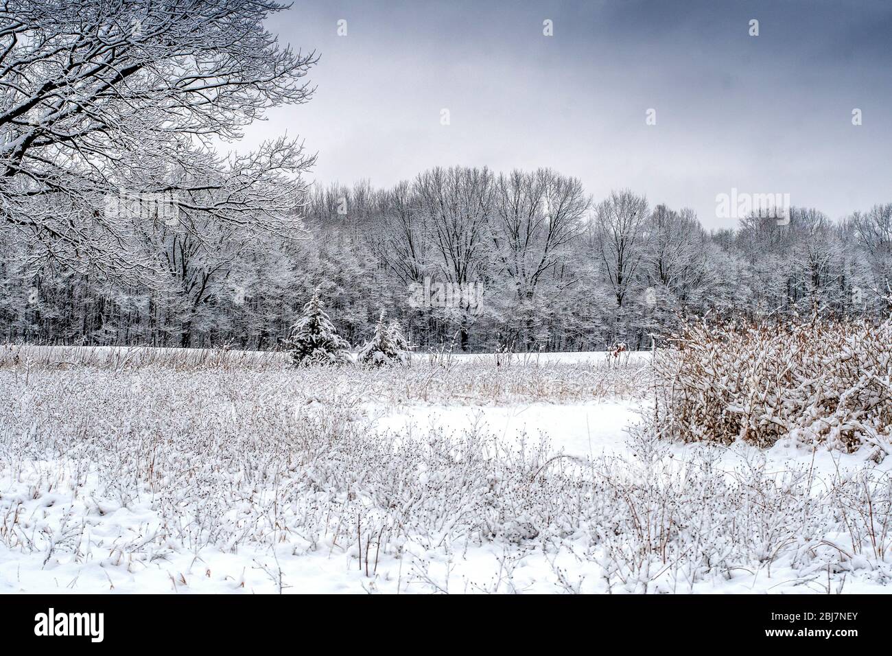 La neige au début du printemps est souvent une surprise, mais elle a rendu ce beau paysage au Michigan des États-Unis , look magique Banque D'Images