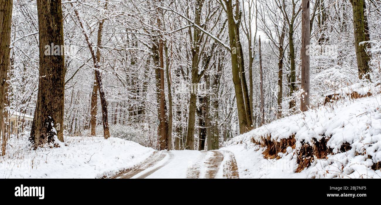 Magnifique promenade en bois enneigé dans le Michigan USA, après une chute de neige surprise de printemps Banque D'Images