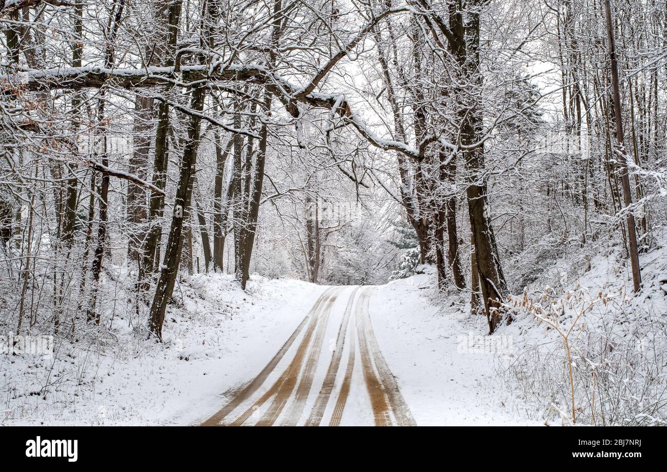 C'est un beau trajet à travers ce bois dépoli de neige au Michigan des États-Unis Banque D'Images