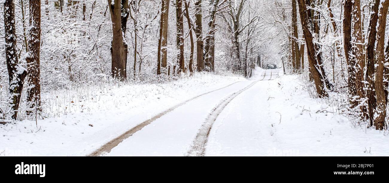 C'est un voyage magique à travers cette belle route bordée d'arbres au Michigan des États-Unis après une tempête de neige au printemps Banque D'Images