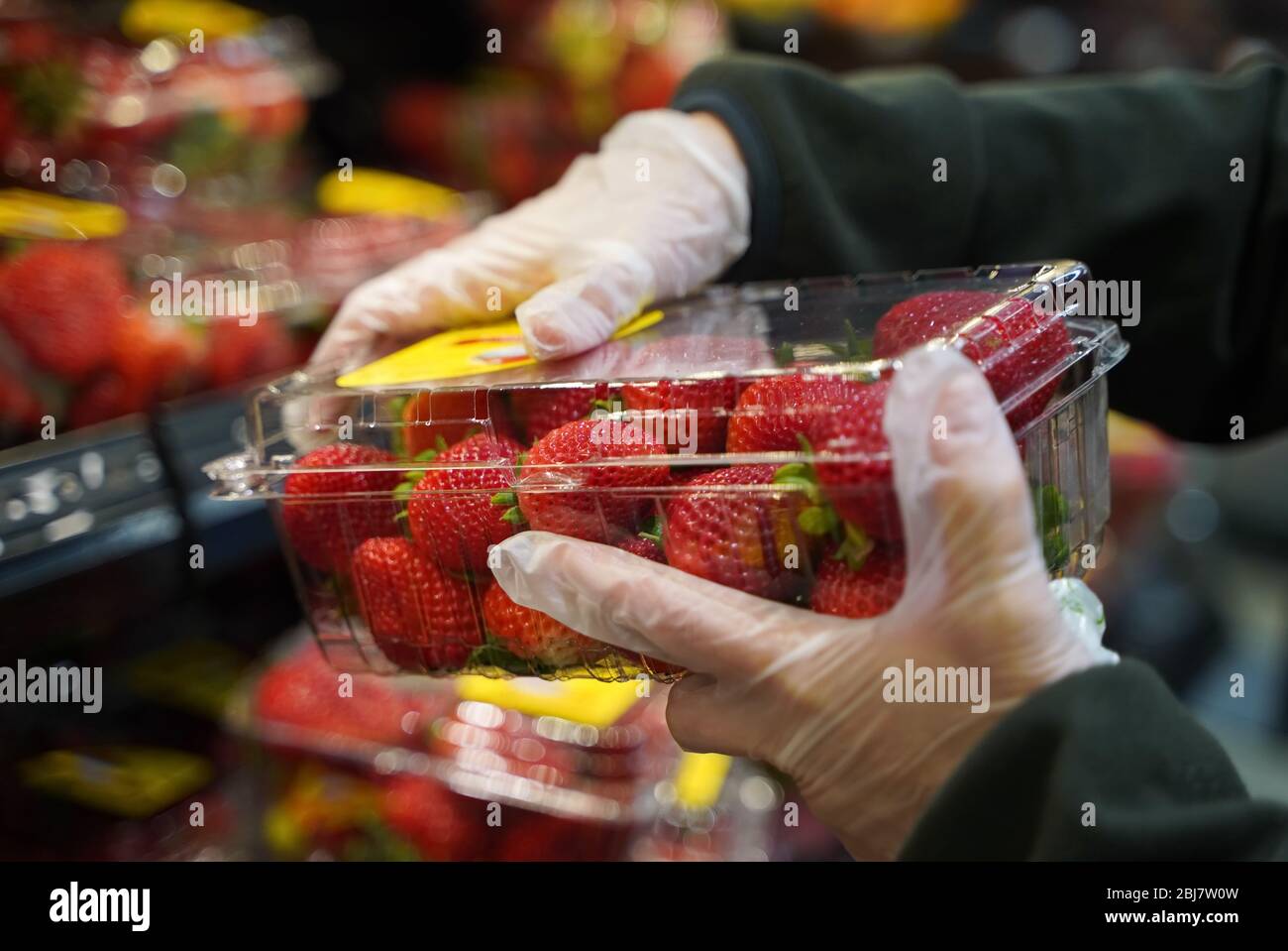 Cromwell, CT / USA - 20 avril 2020: Les mains gantées inspectent un récipient de fraises, un nouveau shopping normal pendant la pandémie Banque D'Images