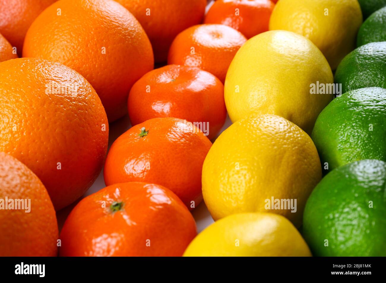 Agrumes mélangés colorés triés et alignés en rangées, gros plan Banque D'Images