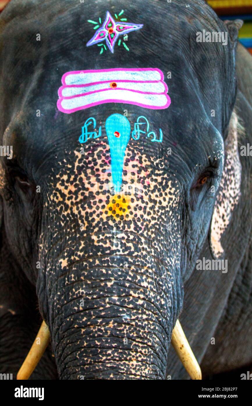 Arulmigu Manakula Vinayagar temple,pondichéry,sud de l'inde,pondy,pondichéry voyage,pradeep subramanian Banque D'Images