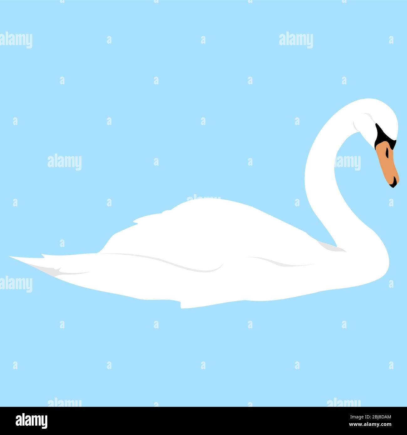 un cygne blanc, oiseau sauvage isolé sur bleu Illustration de Vecteur