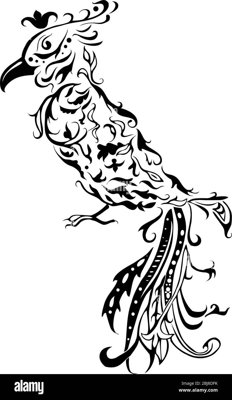 motif fleurs noires stylisées oiseau comme perroquet Illustration de Vecteur