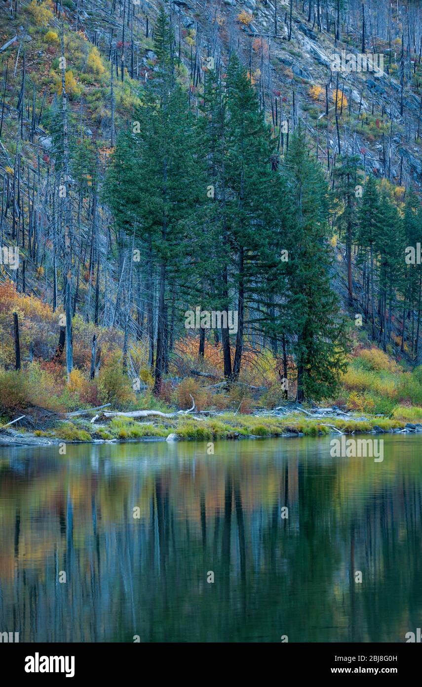 Les couleurs changeantes de la chute de la Highway 2, Washington, USA Banque D'Images