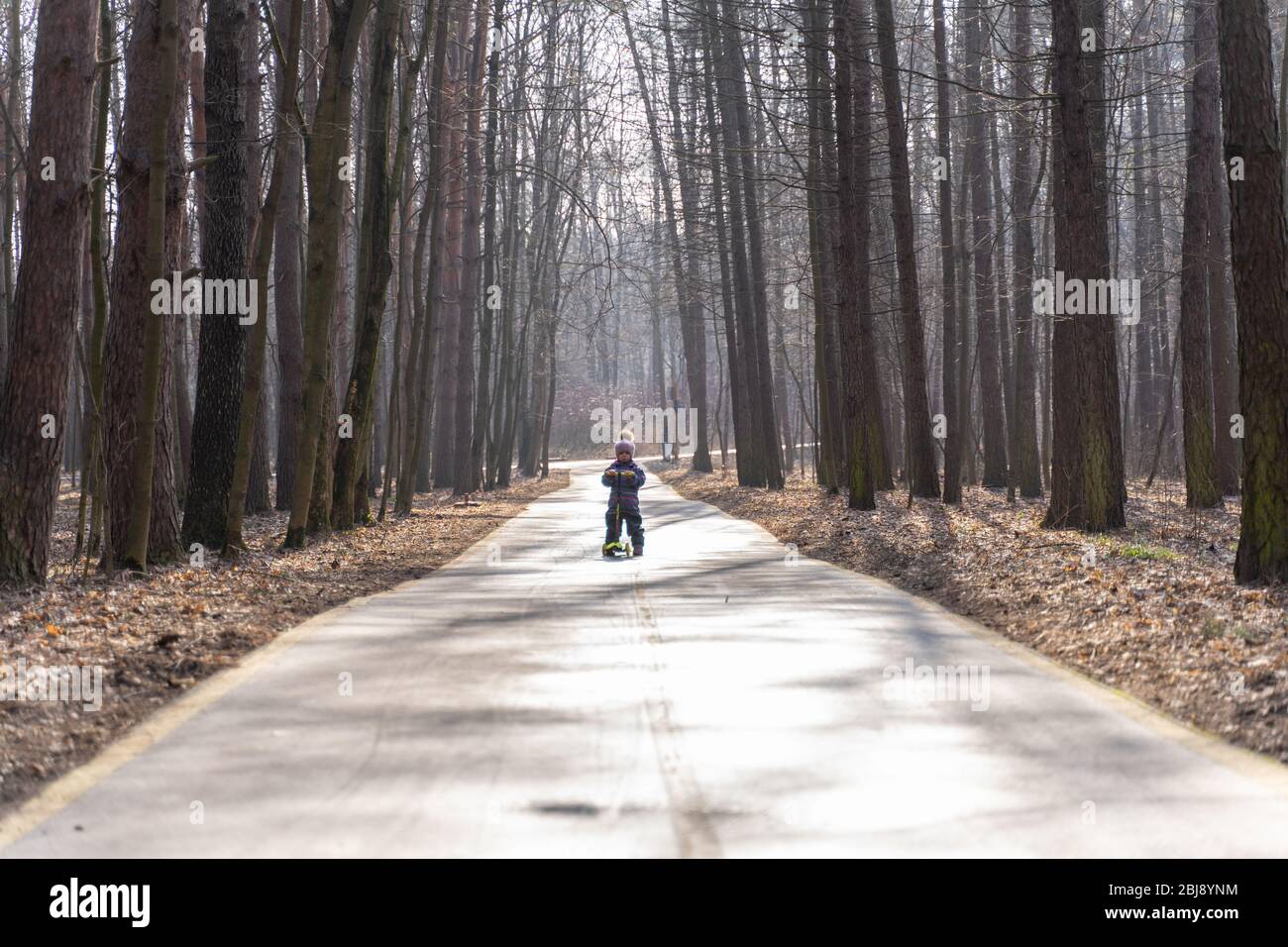 l'enfant se déplace sur un scooter le long d'une route asphaltée à travers un parc à ressort du spectateur. rétro-éclairage Banque D'Images