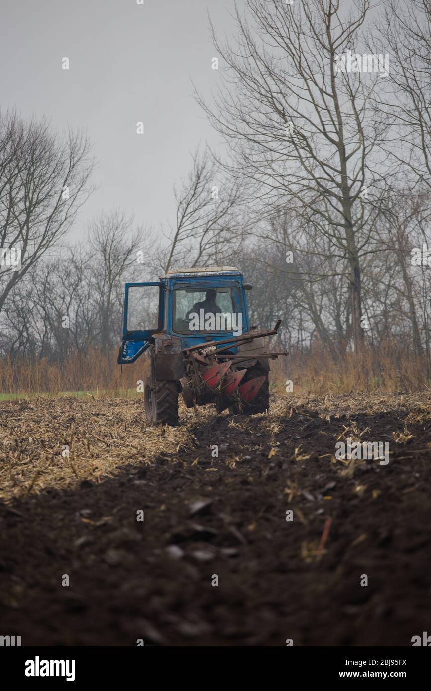 Tracteur cultivant et semant le sol noir dans le village traditionnel en Ukraine. Nettoyage du sol en automne. Banque D'Images