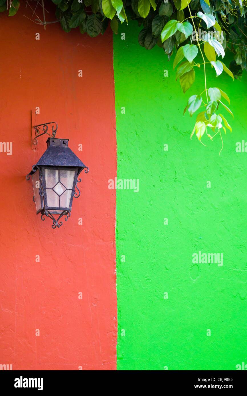 des plantes et des murs colorés s'ament dans les rues de carthagène colombie Banque D'Images