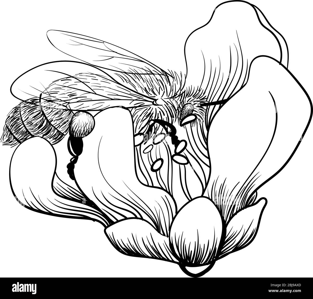 abeille de miel qui recueille du pollen et du nectar en fleur. Illustration vectorielle monochrome isolée. Abeille noire sur fond blanc Illustration de Vecteur
