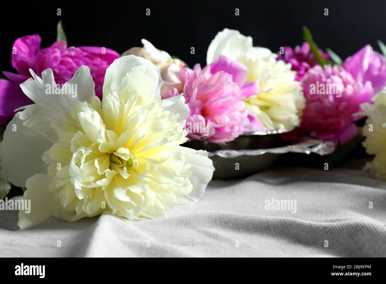Composition avec fleurs pivoines fraîches sur la fermeture de tissu blanc Banque D'Images