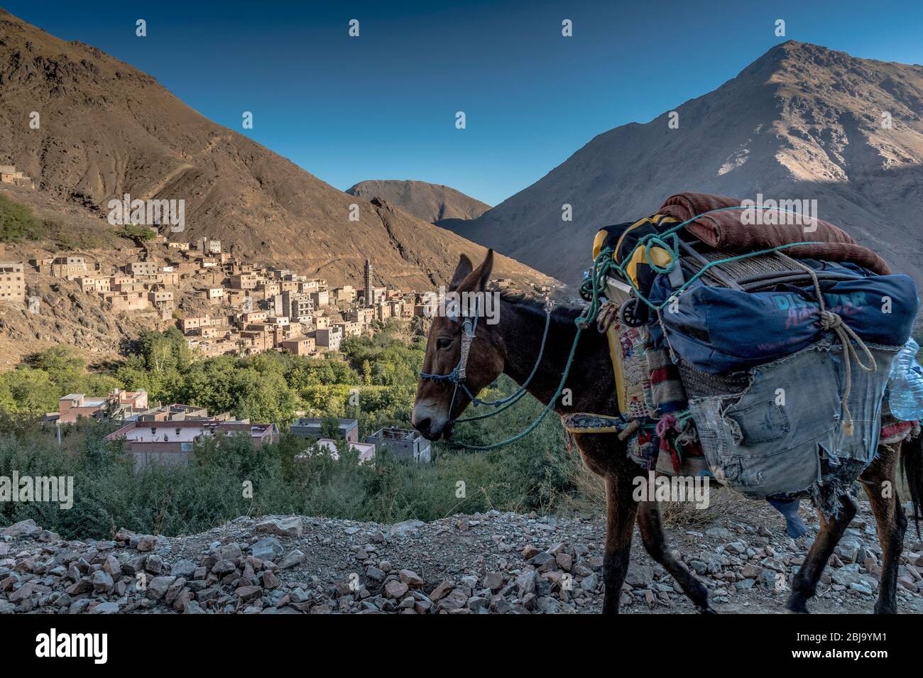 Trekking avec mule dans les montagnes du Haut Atlas marocain Banque D'Images