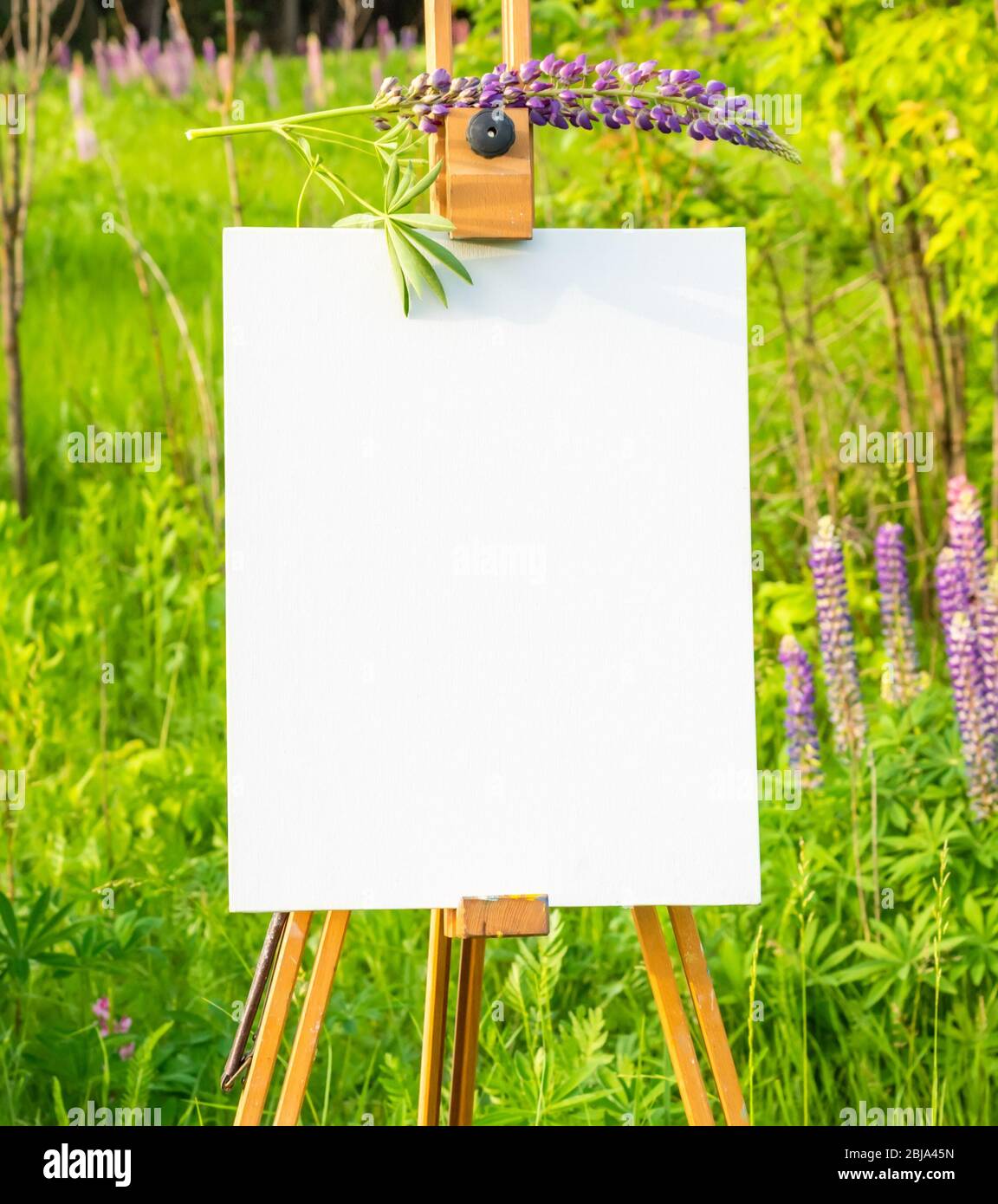 Chevalet en bois avec papier blanc sur fond vert Banque D'Images