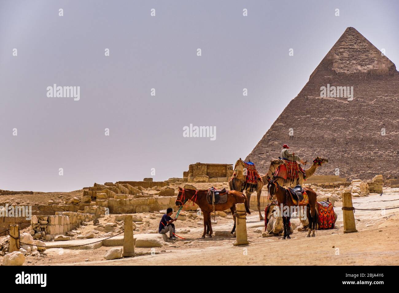 Plateau de Giza, le Caire / Egypte - 25 mai 2019: Guides avec chevaux ...
