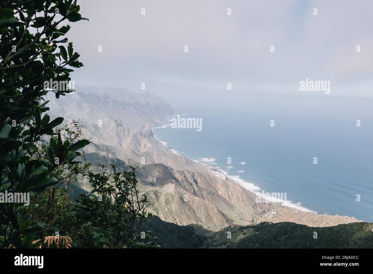 Vue sur la magnifique côte de Tenerife à travers les feuilles des arbres Banque D'Images