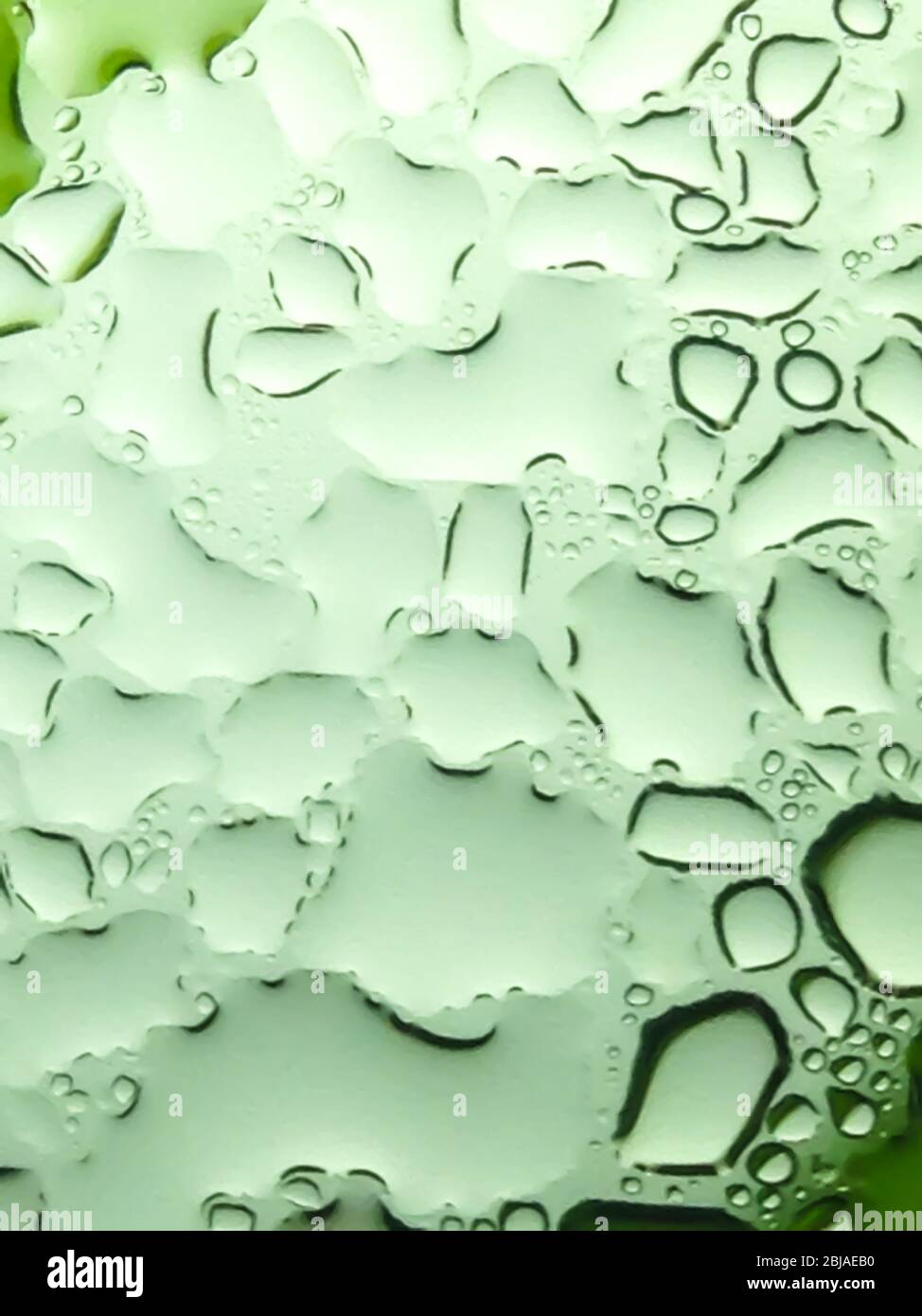 bulles vertes fond transparent Banque D'Images