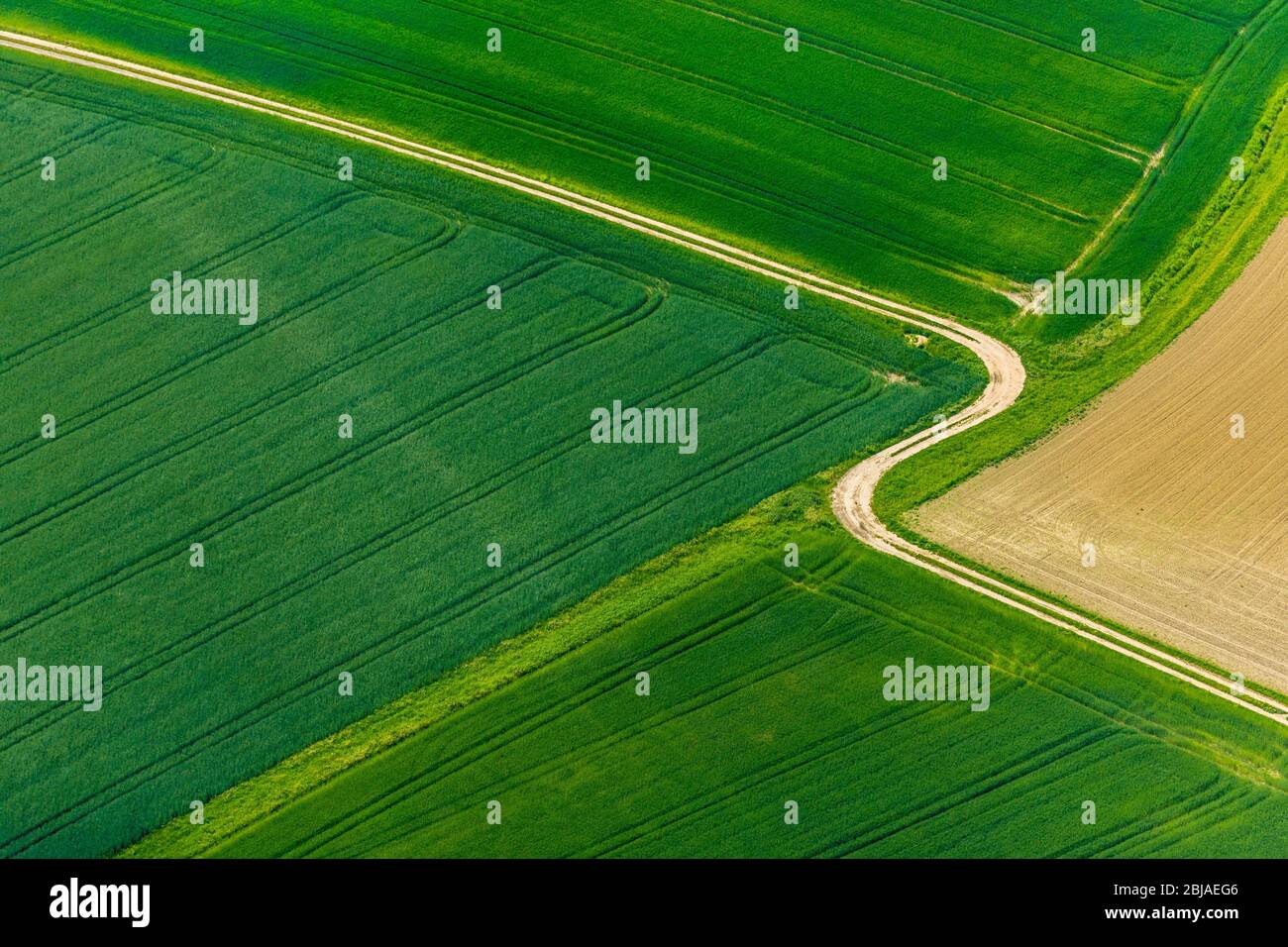 Sentier de champ entre les champs surfertilisants et monotones de Werne, 24.05.2019, vue aérienne , Allemagne, Rhénanie-du-Nord-Westphalie, Ruhr Area, Werne Banque D'Images