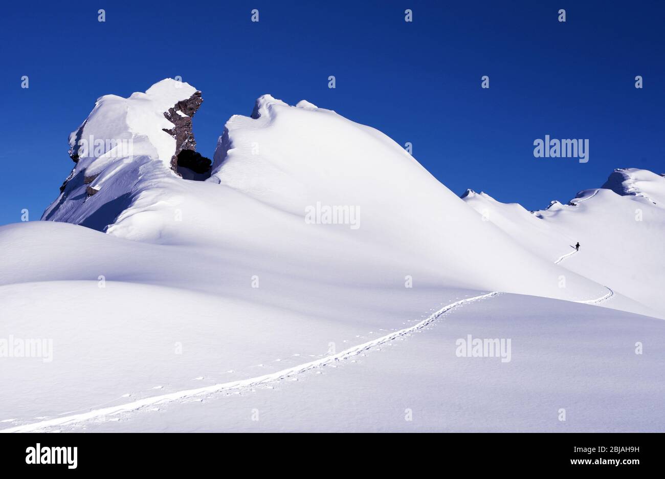 Randonnée à ski de fond dans un massif enneigé près de Sainte Foy Tarentaise, France, Savoie, Sainte Foy Tarentaise Banque D'Images
