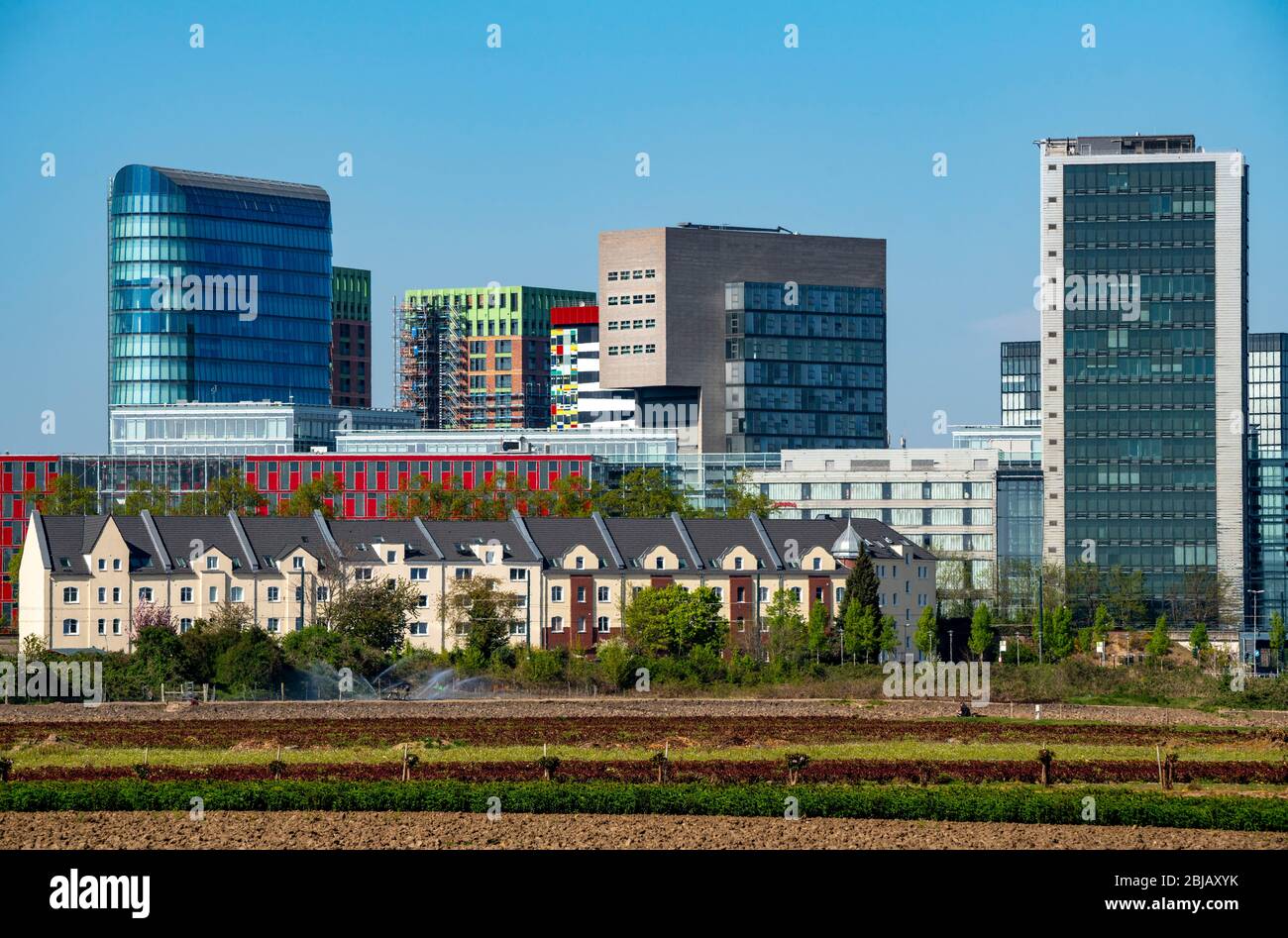 Horizon des maisons dans le Media Harbour, devant elles maisons résidentielles dans le district de Hamm, agricole, horticole, DŸsseldorf, NRW, Banque D'Images