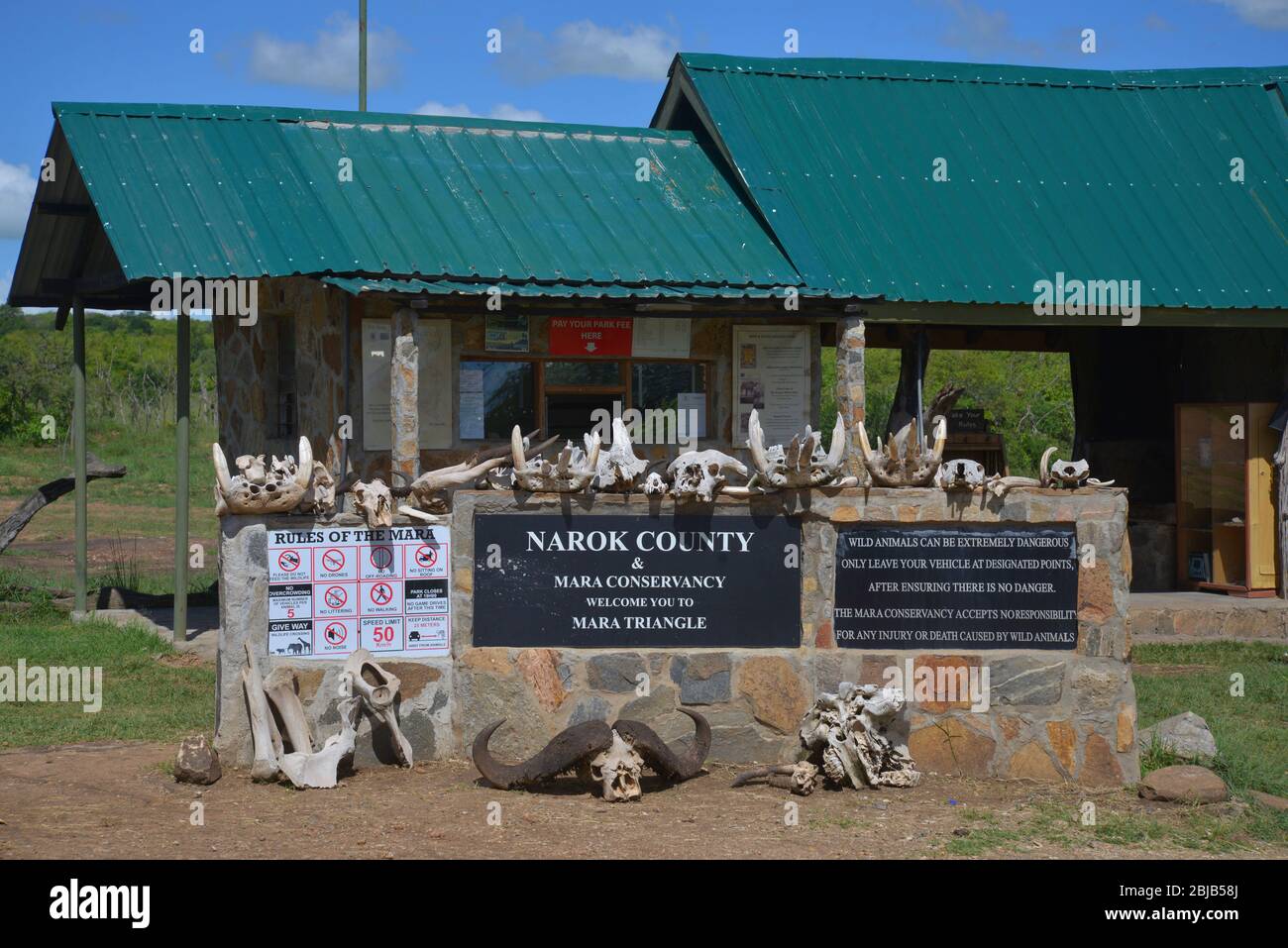 Réserve de Masai Mara, Kenya Banque D'Images