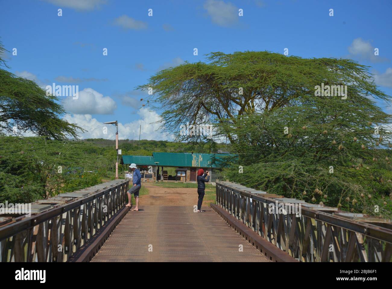 Pont à la réserve de Masai Mara, Kenya Banque D'Images