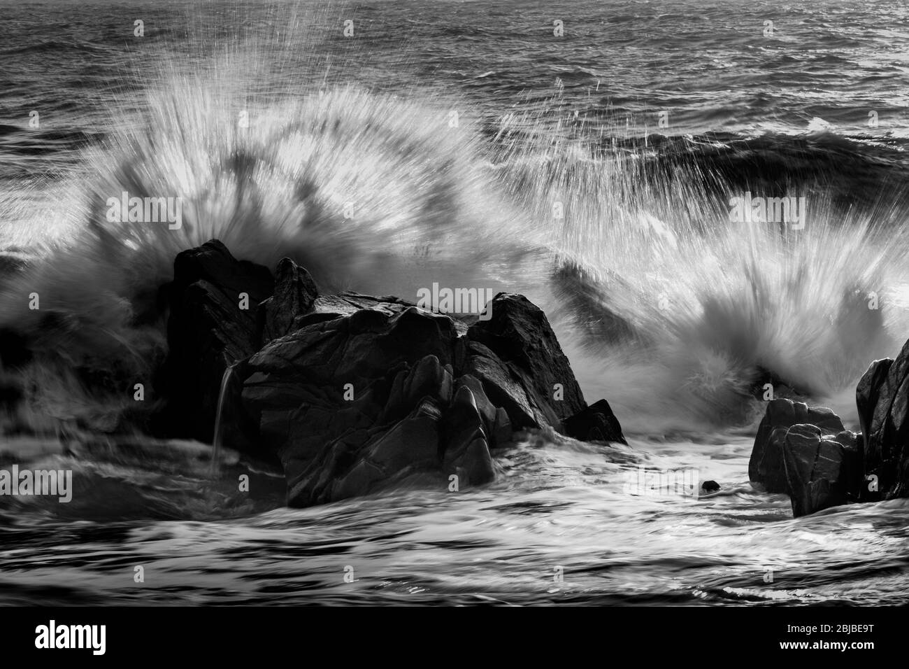 Noir / blanc, beau paysage de gros plan des vagues venant à la rive et s'écraser sur les rochers au bord de la mer, mer de l'est, Gyeongju, Corée Banque D'Images