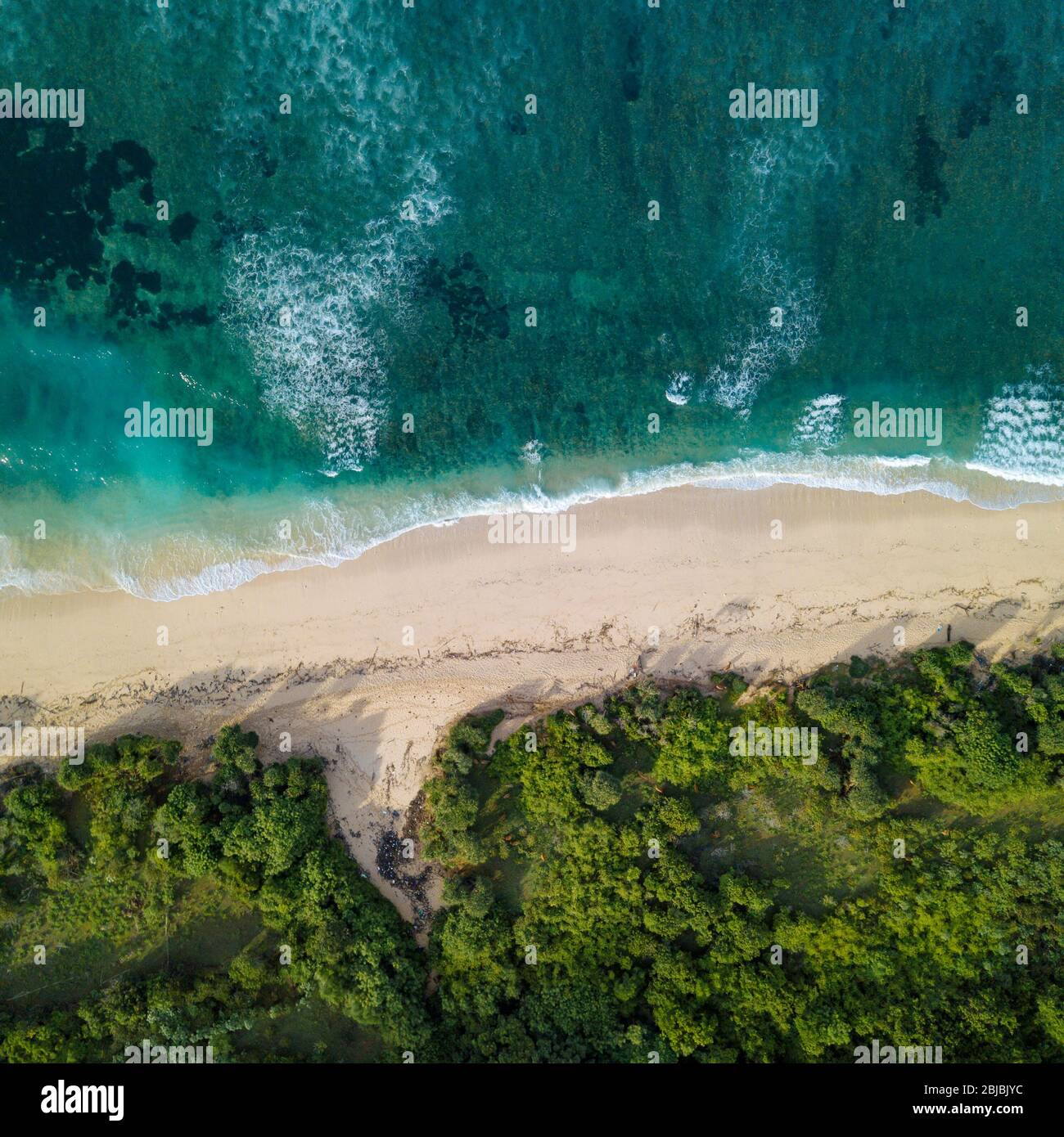 Vue aérienne sur la plage tropicale, Bali, Indonésie Banque D'Images