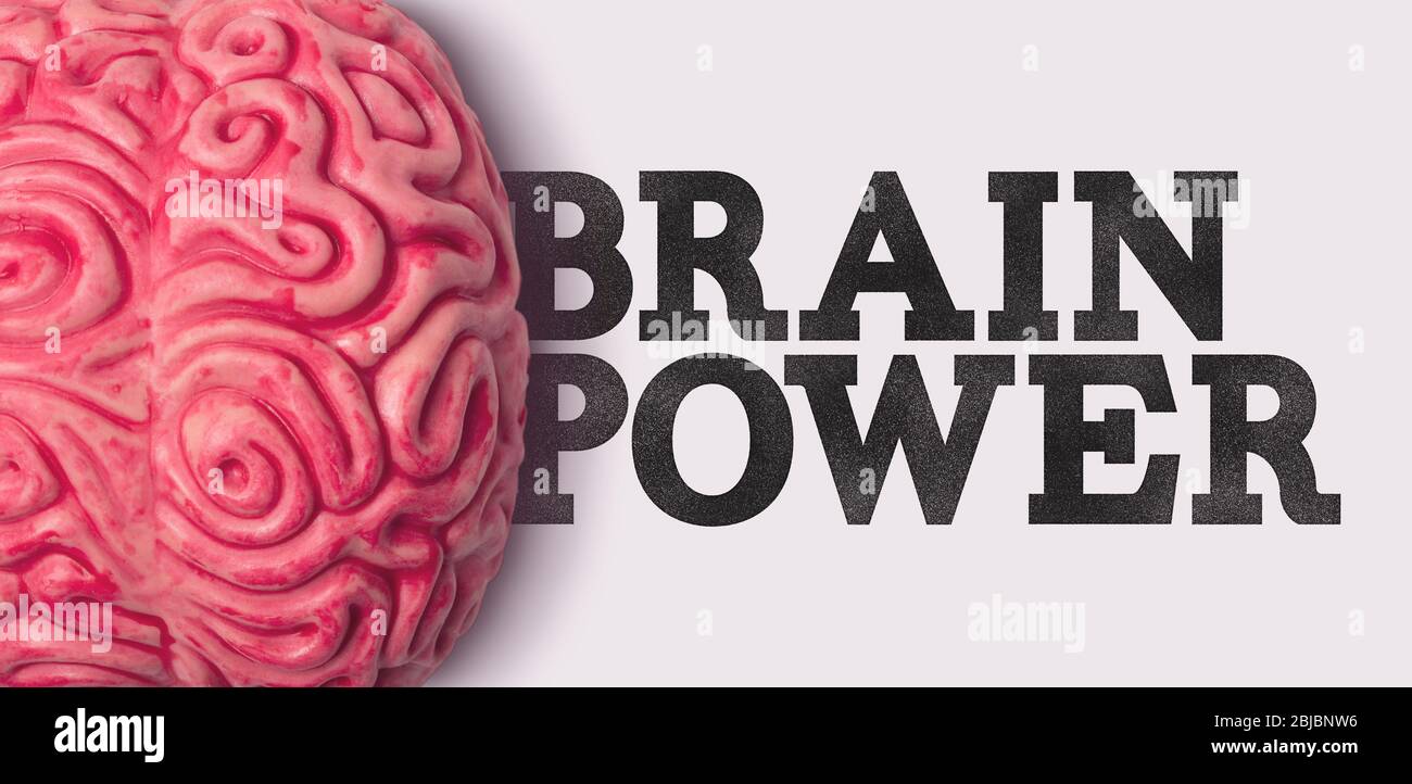 Mot de puissance du cerveau à côté d'un modèle de cerveau humain Banque D'Images