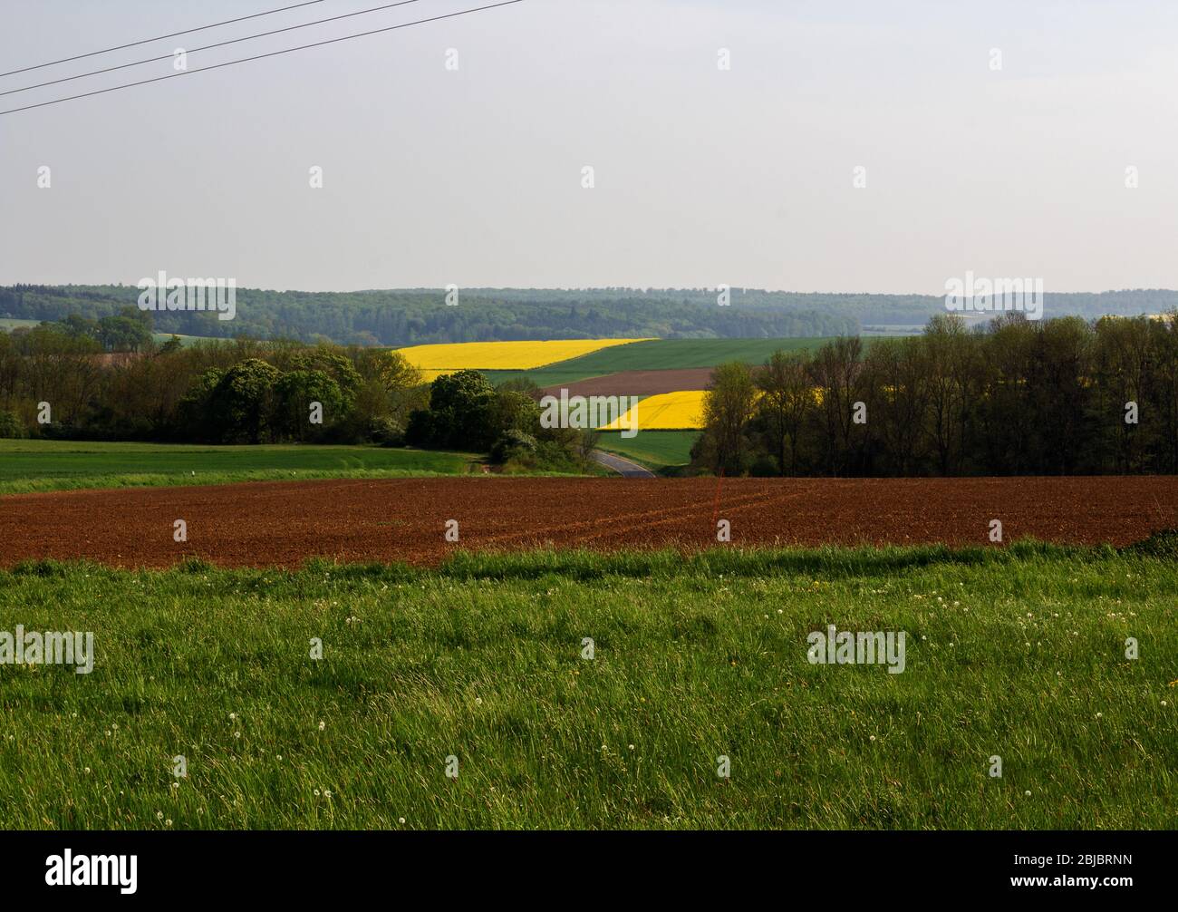 Panorama de paysage avec différents champs et semences cultivées Banque D'Images