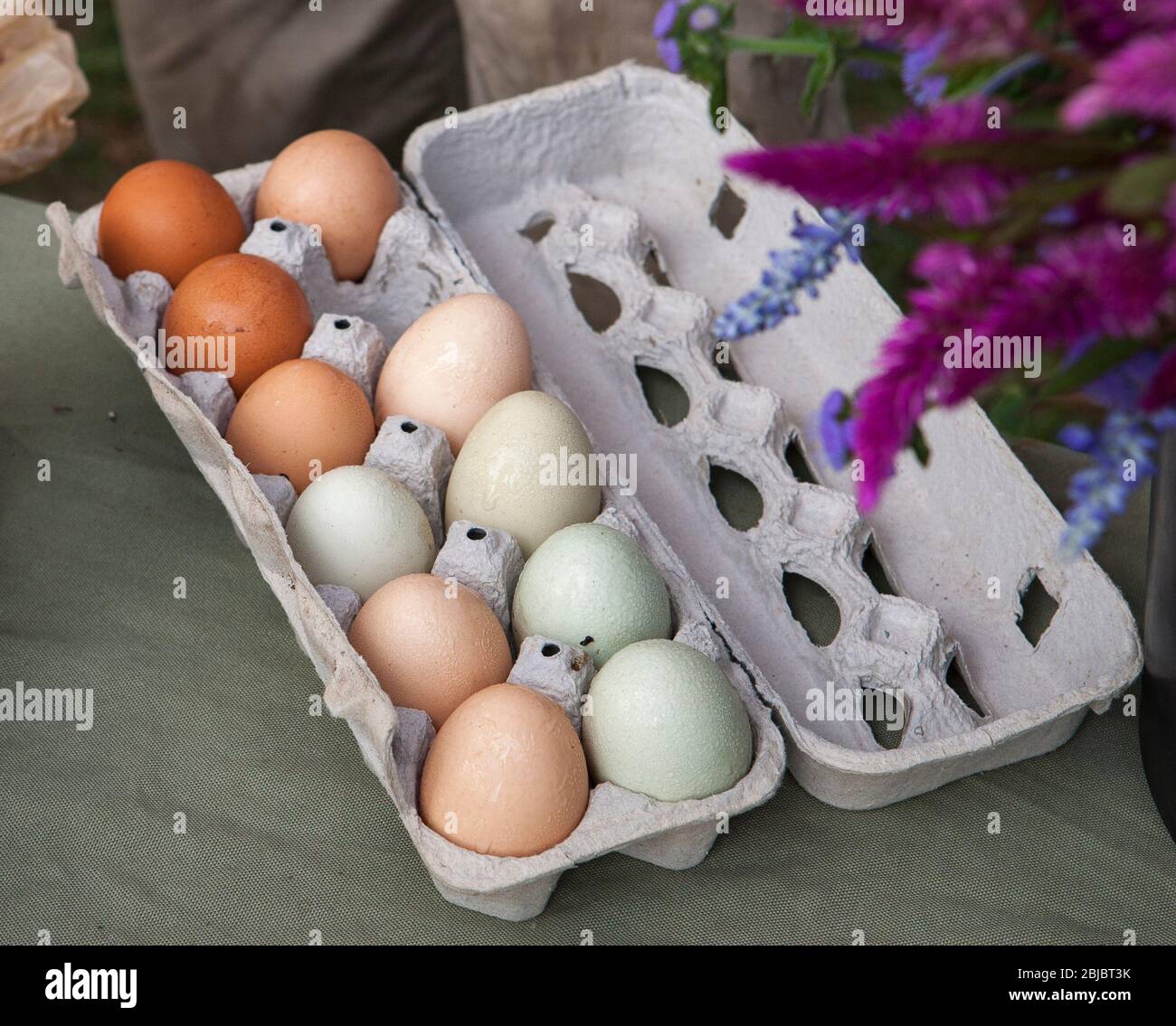Les œufs de poulet biologiques sont placés dans une boîte sur la table sur un marché agricole, avec des fleurs fraîches au premier plan, Madison, CT, USA Banque D'Images