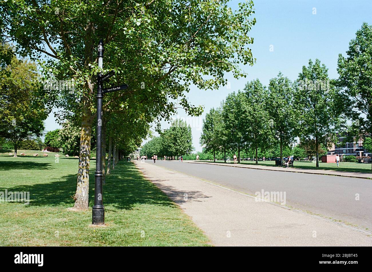 Avenue bordée d'arbres à Finsbury Park, nord de Londres, Royaume-Uni, à la fin du printemps Banque D'Images