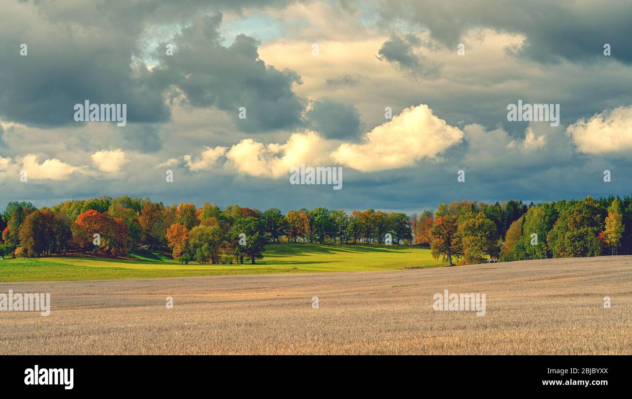 Champ fauché dans un contexte de forêt d'automne Banque D'Images