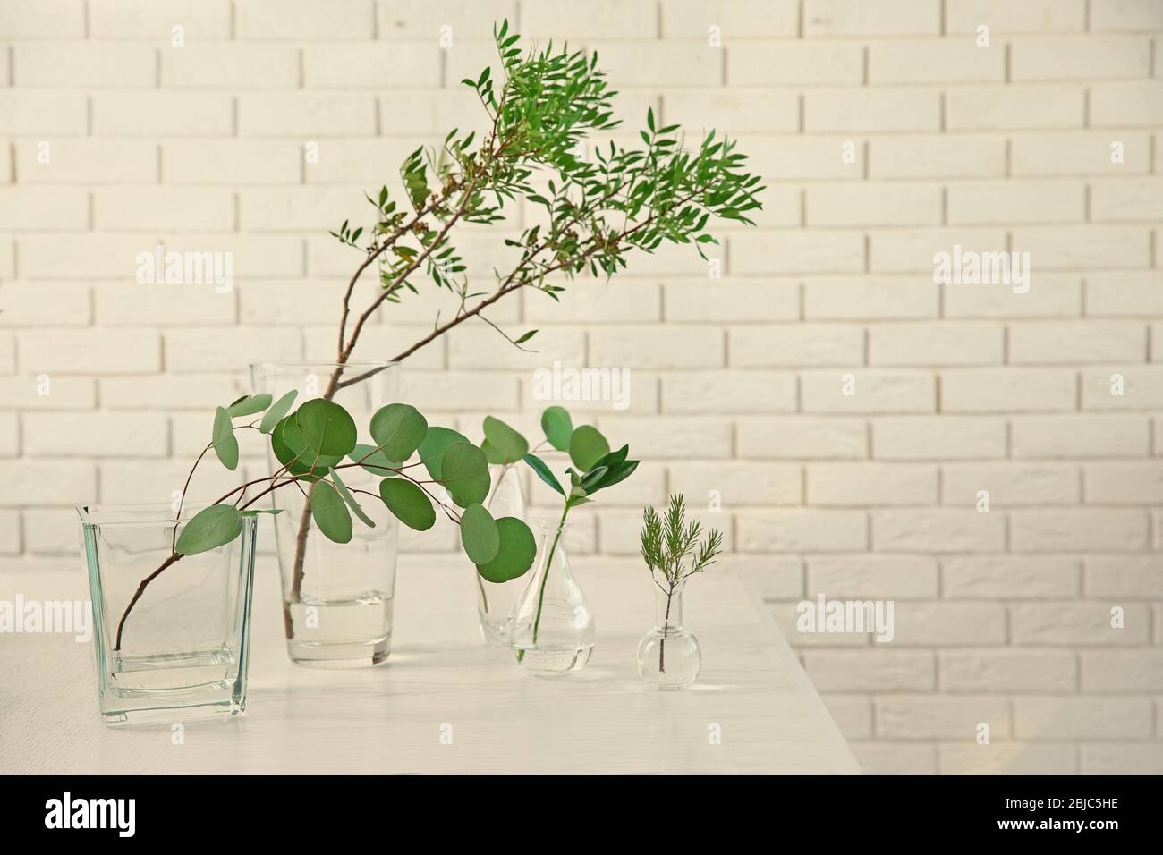 Plantes dans différentes vases en verre sur la table dans la chambre Banque D'Images