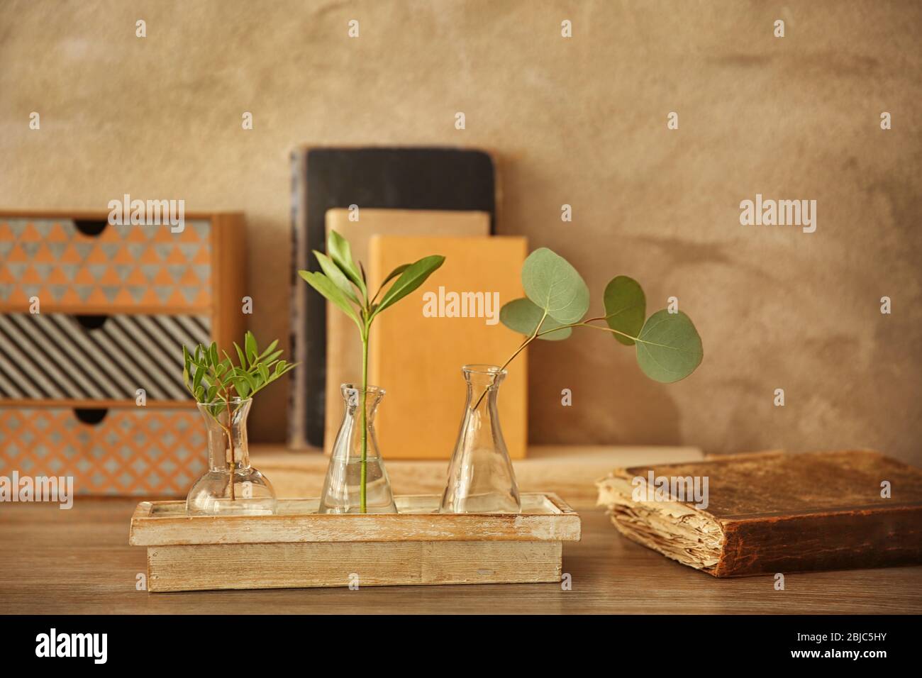Plantes dans différentes vases en verre sur la table dans la chambre Banque D'Images