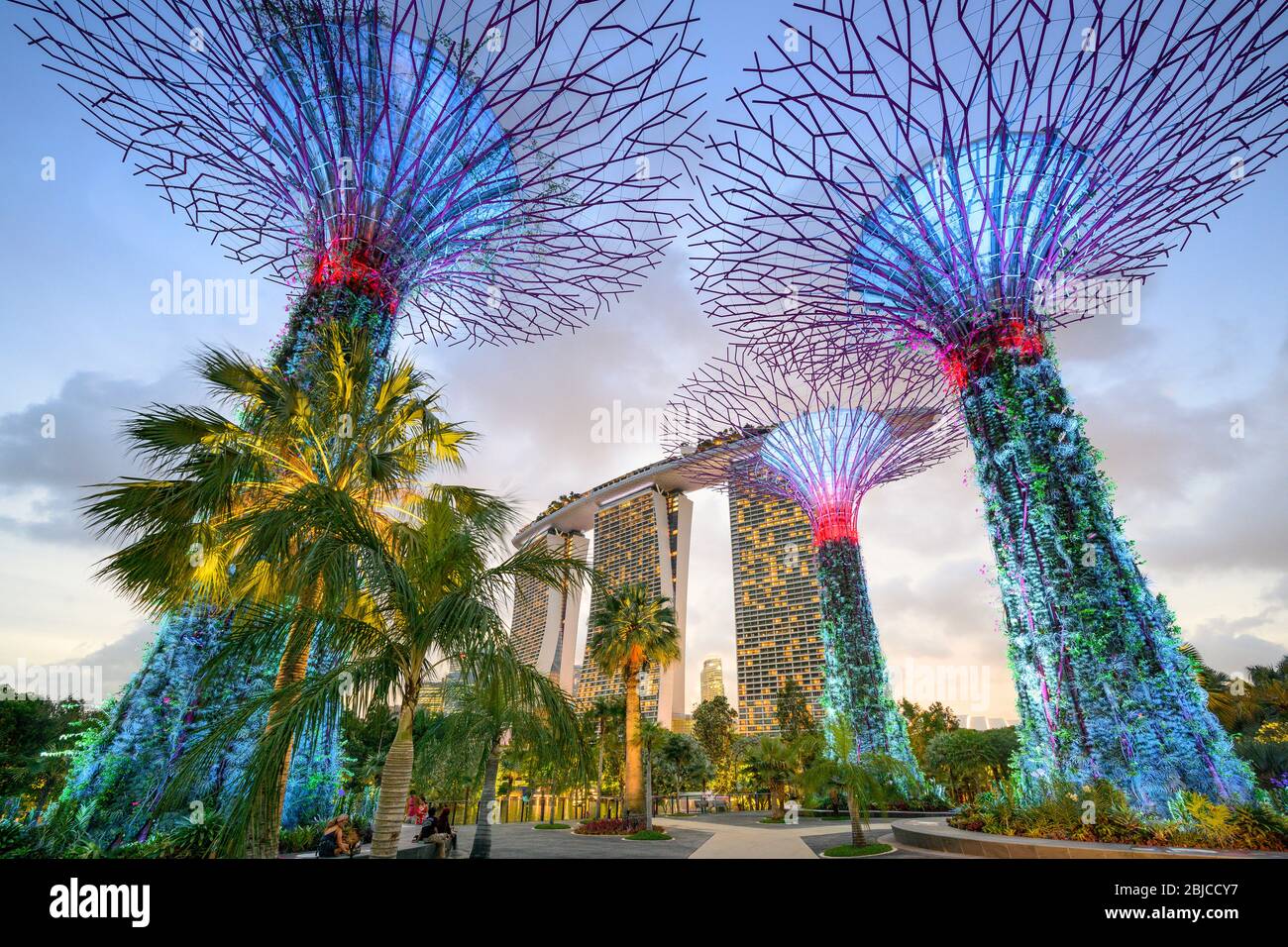 Singapour 02. 2020 janvier : Jardins de la baie avec les Super arbres la nuit, en arrière-plan l'hôtel Marina Bay Sands Banque D'Images