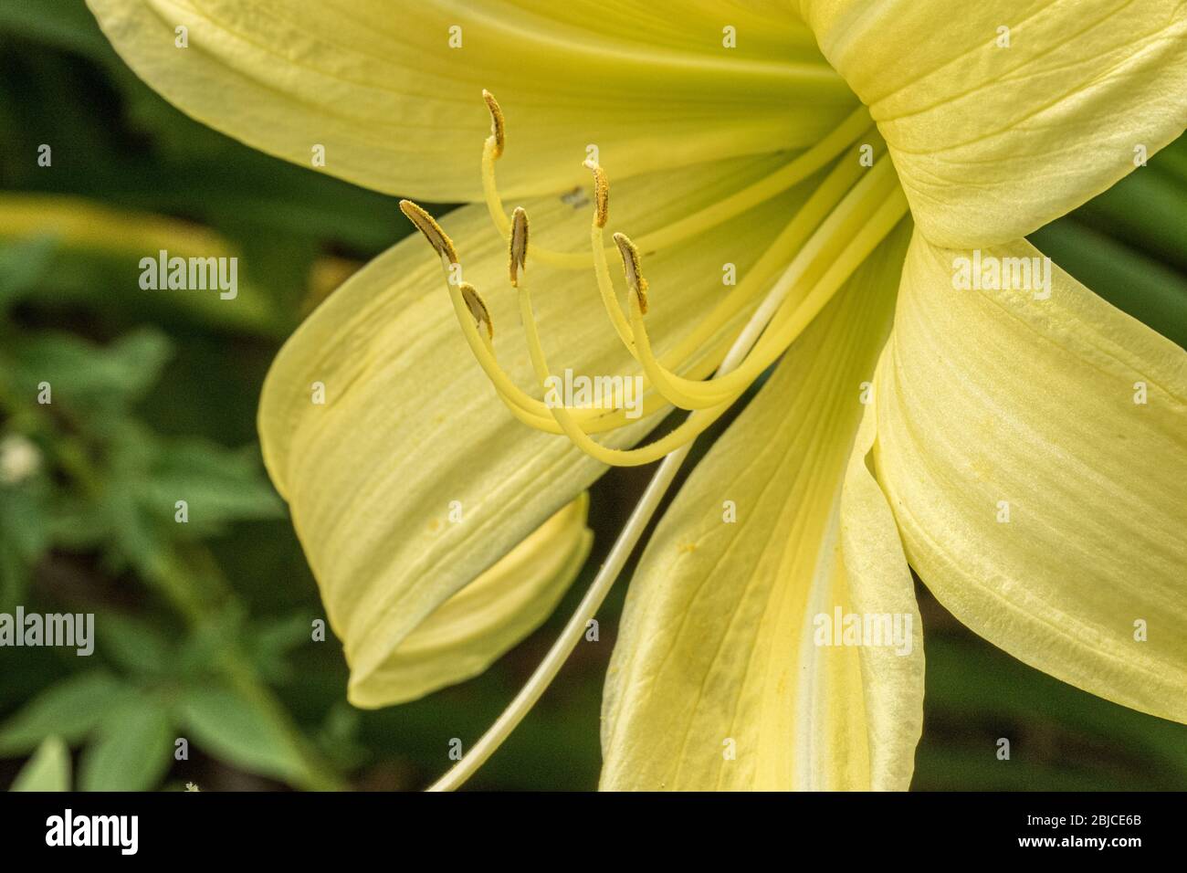 Belle journée en famille dans un jardin Banque D'Images