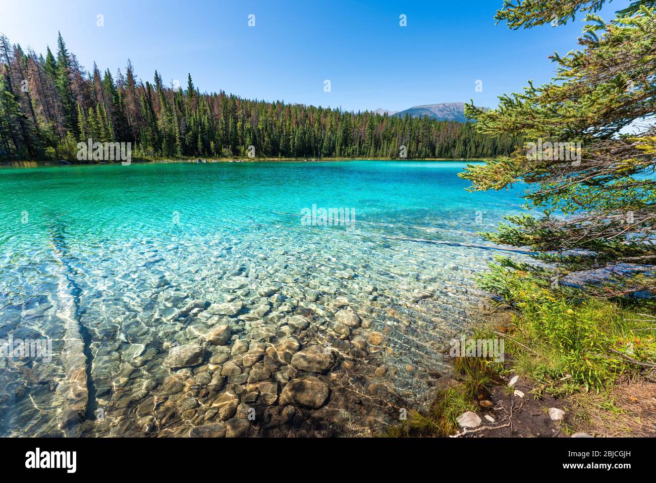 Deuxième lac de la vallée des cinq lacs, Jasper, Rocheuses canadiennes, Canada. Banque D'Images