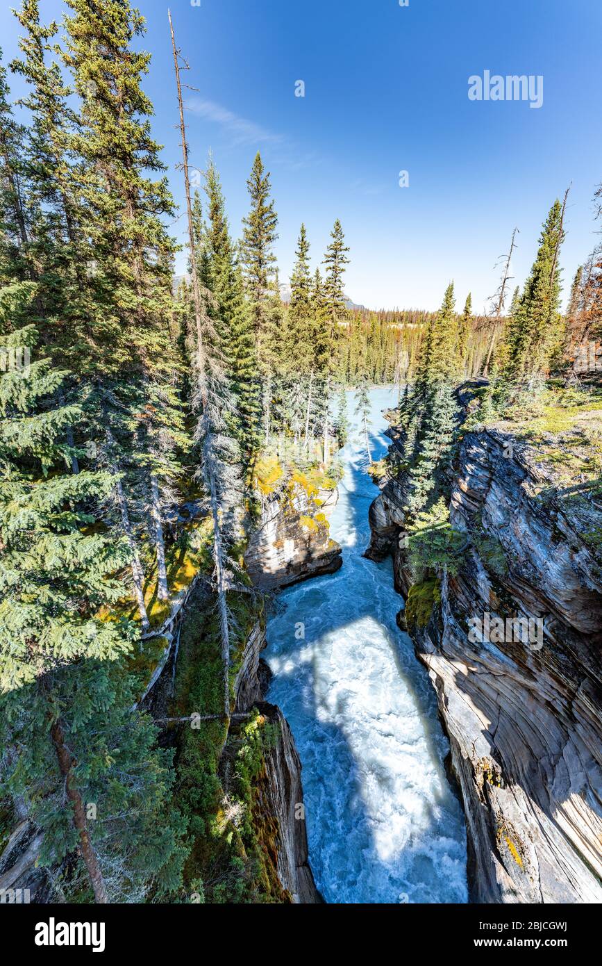 Rivière, arbres et nature sauvage à Jasper, Canada Banque D'Images