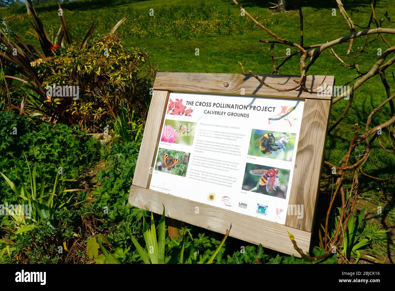 Signe expliquant le projet de pollinisation croisée aux variétés végétales de fleurs pour aider les abeilles et autres insectes, les terrains de Calverley, Royal Tunbridge Wells, Kent Banque D'Images