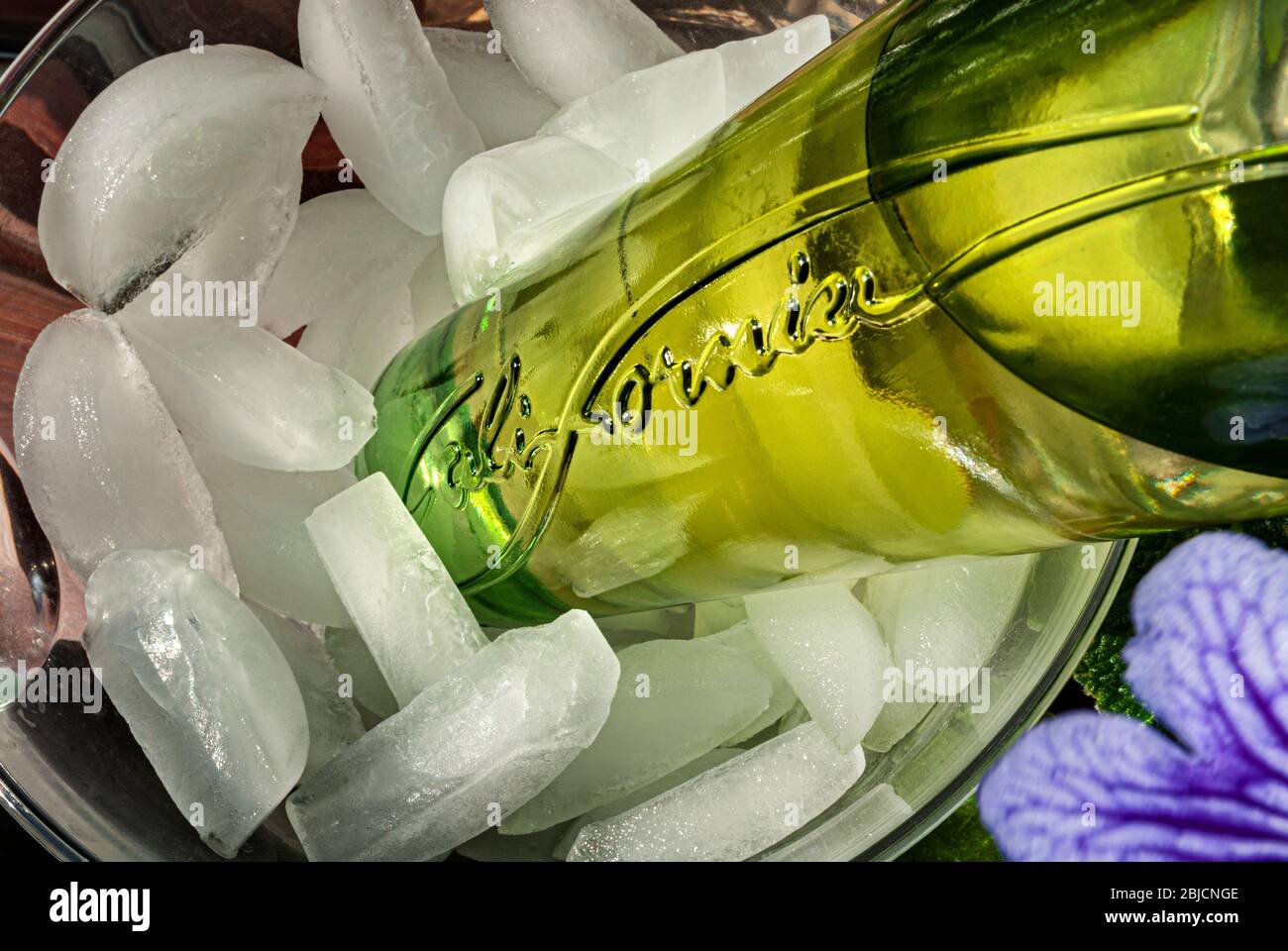 Vin blanc de Californie dans un seau à glace, avec « Californie » en relief sur la bouteille de vin California USA Banque D'Images