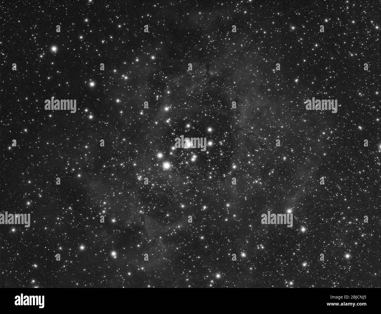Roestte Nebula NGC 2244 dans l'hydrogène alpha avec Galaxy,Open Cluster,Globular Cluster, étoiles et poussière d'espace dans l'univers Banque D'Images