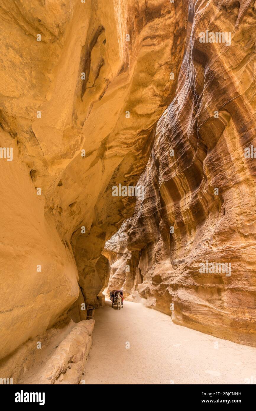 Chariot à cheval dans le canyon de Petra, Jordanie Banque D'Images