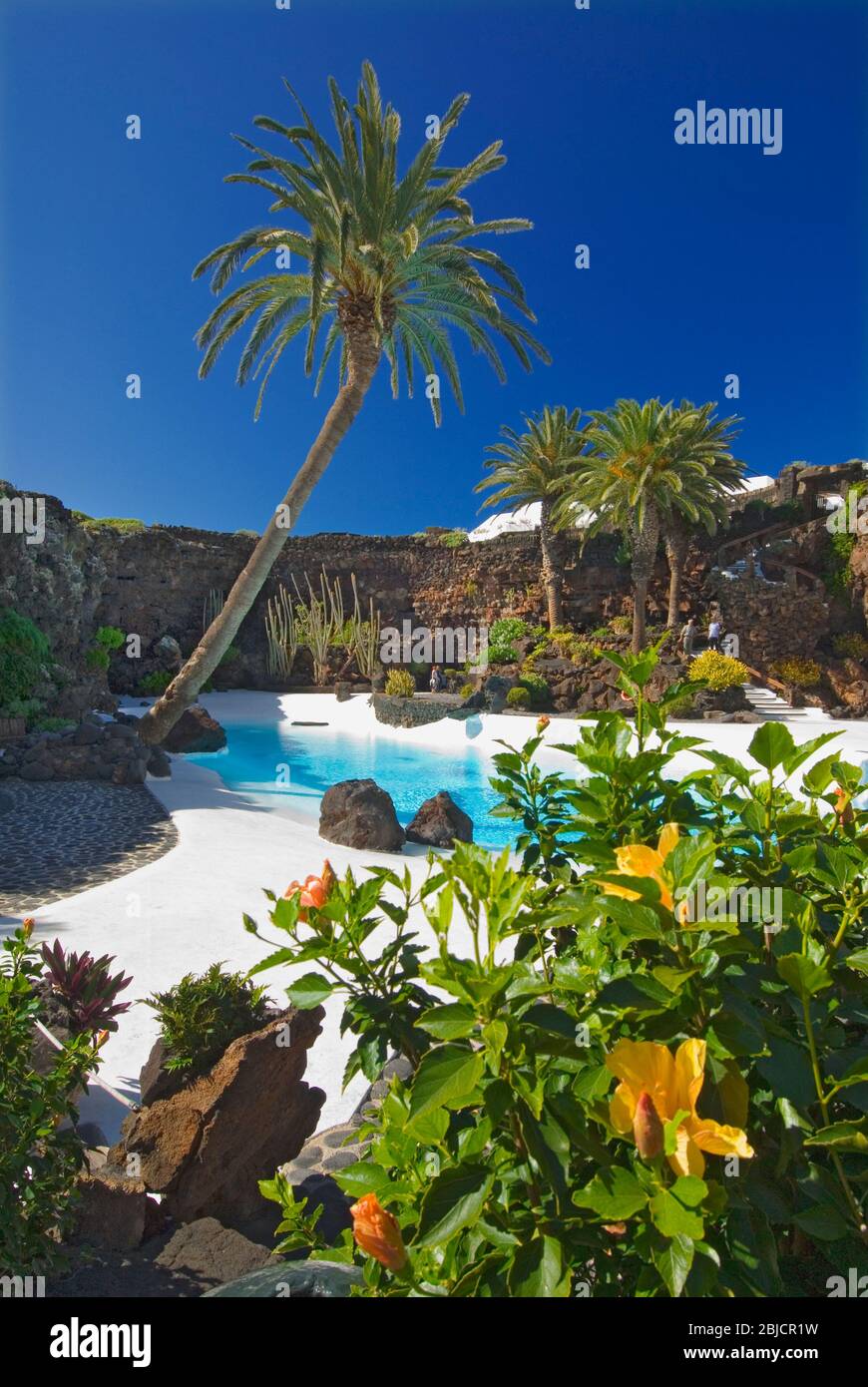 Piscine Jameos del Agua avec palmiers et plantes tropicales exotiques, conçue par Manrique Lanzarote îles Canaries Espagne Banque D'Images
