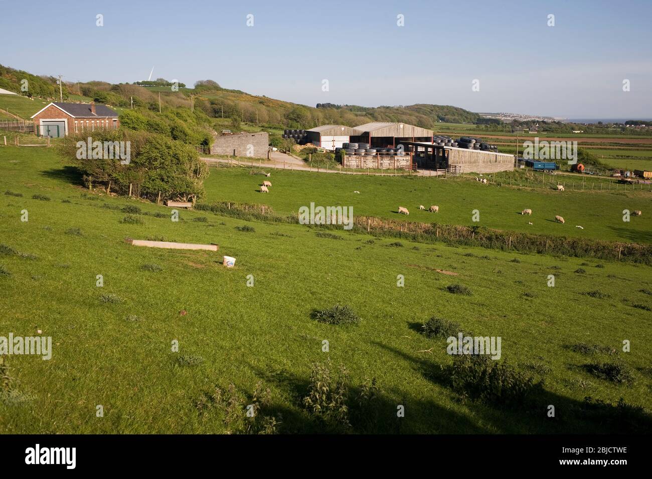 Champs de la ferme Ty Coch à la périphérie de Porthcawl, dans un après-midi ensoleillé chaud de printemps Banque D'Images