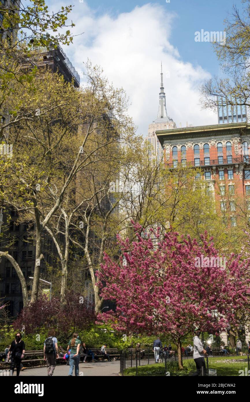 Madison Square Park dans le printemps avec l'Empire State Building en arrière-plan, NYC, USA Banque D'Images