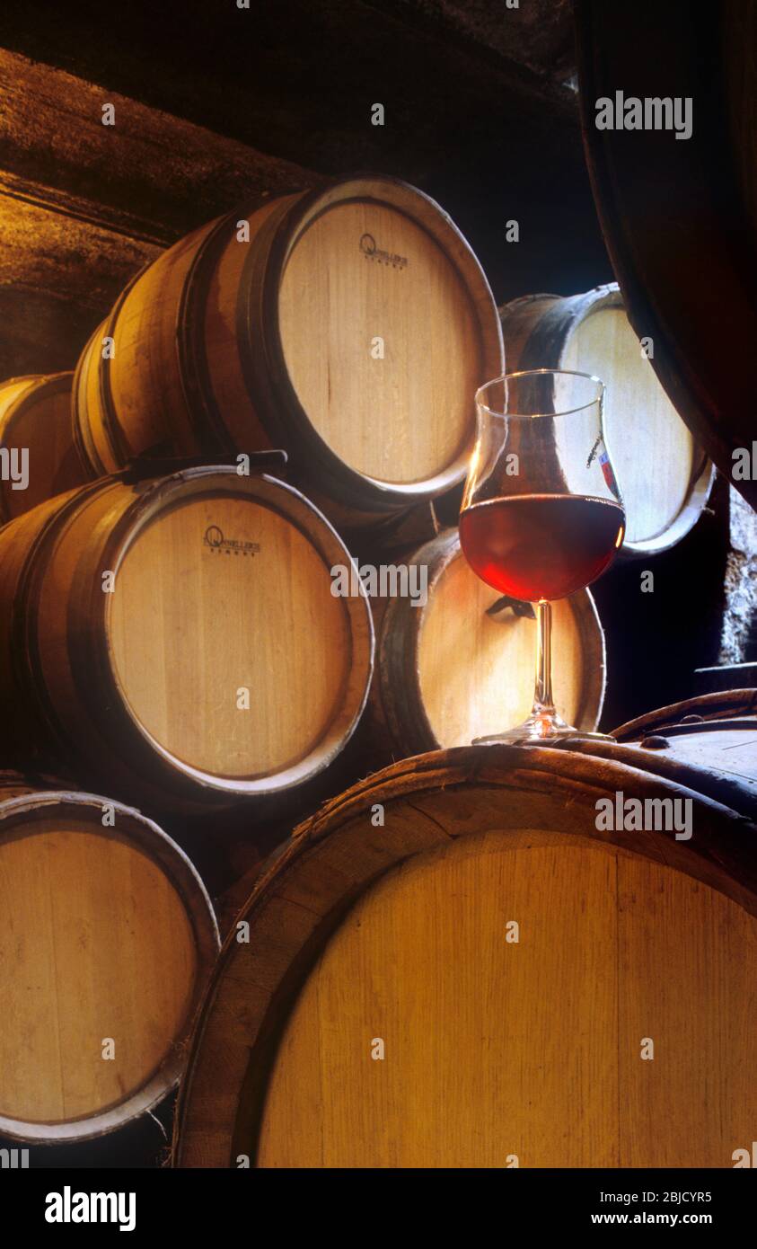 CAVE BOURGOGNE verre de vin rouge Pinot Noir dégustation dans une petite cave à fûts de Bourgogne français, avec fûts de chêne dans un domaine rustique français Gevrey Chambertin Bourgogne Bourgogne France Banque D'Images